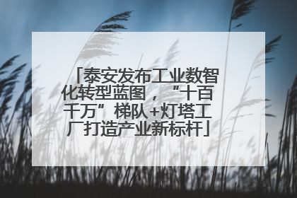 泰安发布工业数智化转型蓝图，“十百千万”梯队+灯塔工厂打造产业新标杆